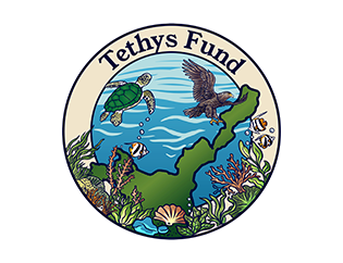 Tethys（テティス）基金