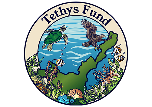 Tethys（テティス）基金